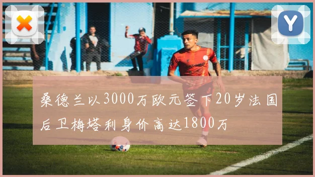 桑德兰以3000万欧元签下20岁法国后卫梅塔利身价高达1800万